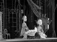 Клетка, которая всегда с тобой / "Три сестры" в Костромском областном театре кукол