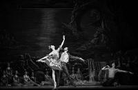 Балеты классического наследия / Международный фестиваль классического балета им. Р.Нуриева